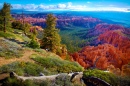 Bryce-Canyon-Nationalpark, Utah