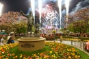 Disneyland Schloss Feuerwerk