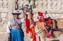 Lama in Arequipa, Peru