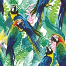 Bunte Papageien und exotische Blumen