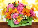 Blumen in einem Kasten