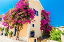 Griechisches Haus mit Blumen