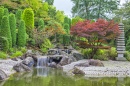 Japanischer Garten in Bonn, Deutschland