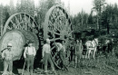 1895 - Berufsholzfäller in Kalifornien