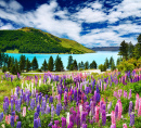 Landschaft mit See und Blumen