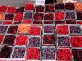 Beeren