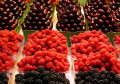 Beeren und Kirschen
