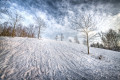 Winter-Hill