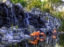 Wasserfall Flamingos