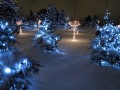 Chinguacousy Park Weihnachtslichter