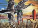 Duck Stamp Kunstwettbewerb