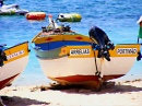 Boote in Carvoeiro
