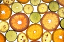 Zitrus Früchte