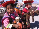 Peruanische Kinder mit Lämmern