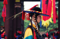 Joseon-Wache