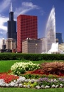Chicago Grant Park Blumen