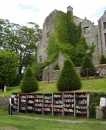 Bücher und Schloss