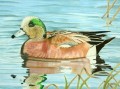 Duck Stamp Kunstwettbewerb