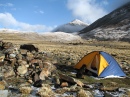 Camping in Tibet