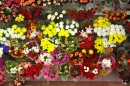 Blumenverkauf
