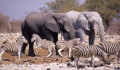 Etosha-Nationalpark, Namibia