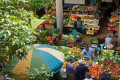 Obst & Gemüsemarkt