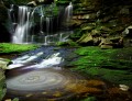 Elakala-Wasserfälle wirbelnder Teich