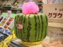Würfel-Wassermelone in Tokio