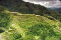 Banaue Reisterrassen