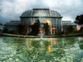 Botanischer Garten Helsinki