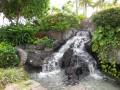 Waikiki Beach Garden, Hawaii