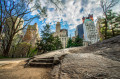 Central Park, Stadt New York