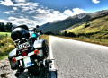 Harley Davidson, Neuseeland