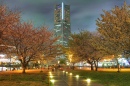 Landmark Tower und Japanische Kirschblüte