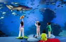 Kinder im Palma Aquarium, Spanien