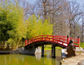 Japanische Brücke, Memphis Botanischer Garten