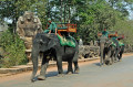 Angkor Thoms Taxi, Kambodscha