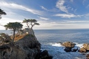 Lone Cypress, Monterey, Kalifornien