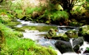 Fluss in Glentenassig, Irland