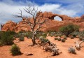 Skyline Arch, Arches-Nationalpark