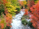 Herbst am Bach Harris, Ontario