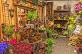 Lokaler Blumenladen in Edmond, OK
