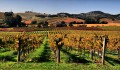 Weingüter im Napa Valley