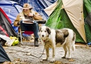 Protestierender Hund an der Occupy LSX