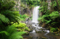 Der Wasserfall Hopetoun Falls, Otway-Nationalpark, Australien