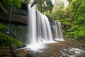 Russell-Wasserfälle, Mt Field-Nationalpark, Tasmanien, Australien