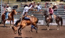 Bickleton's Pioneer Picnic And Rodeo