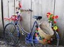 Fröhliches Fahrrad