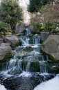 Wasserfall, Holland Park