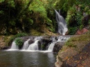 Wasserfall Elabana, Australischer Regenwald
